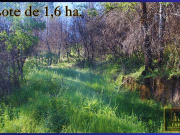 Venta / Terreno / Santa Juana