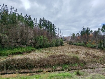 Venta / Terreno / Santa Juana