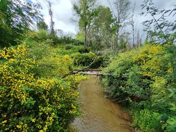 Venta / Terreno / Santa Juana