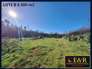 Venta / Terreno / Santa Juana