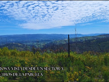 Venta / Terreno / Santa Juana