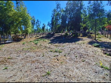 Venta / Terreno / Santa Juana