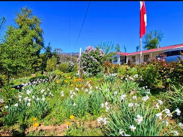 Venta / Terreno / Santa Juana
