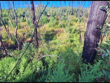 Venta / Terreno / Santa Juana