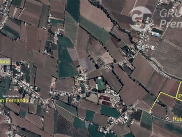 Imagen 7
