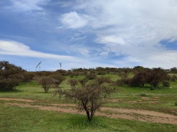 Venta / Terreno / Santiago