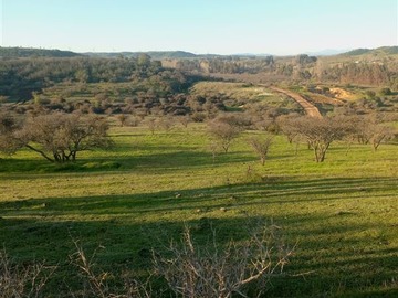 Imagen 19