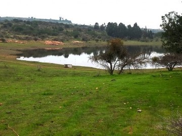Imagen 16