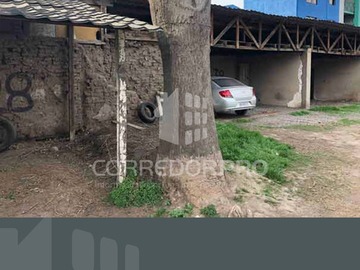 Imagen 7