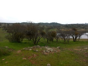 Imagen 14