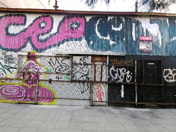 Imagen 5