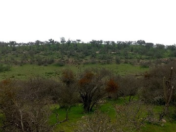 Imagen 13