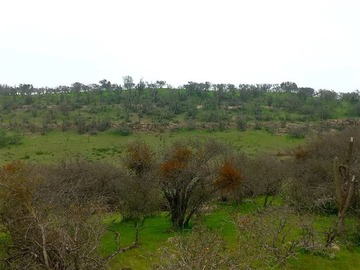 Imagen 17