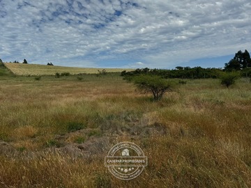 Venta / Terreno / Santo Domingo