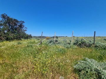 Venta / Terreno / Santo Domingo