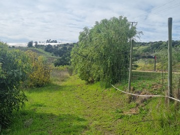 Venta / Terreno / Santo Domingo