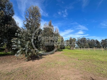 Imagen 11