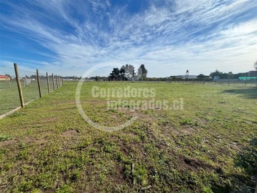 Imagen 11