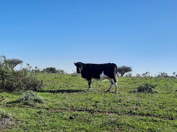 Venta / Terreno / Santo Domingo