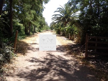 Venta / Terreno / Talagante