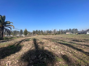 Venta / Terreno / Talagante