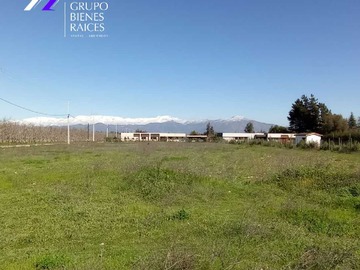 Imagen 11