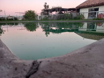 Imagen 15