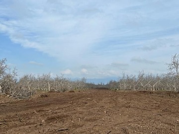 Caminos interiores en obra