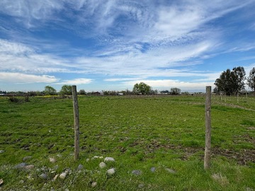 Imagen 8