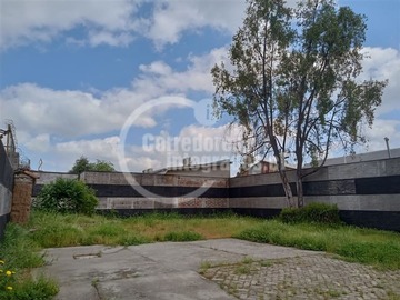 Imagen 5
