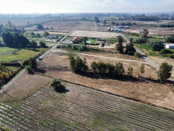 Imagen 11