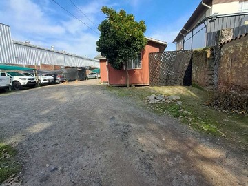 Imagen 6