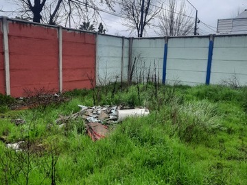 Imagen 12
