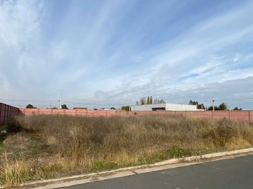 Imagen 3