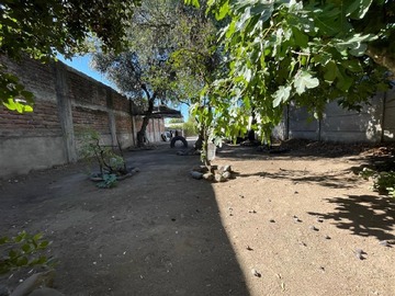 Imagen 13