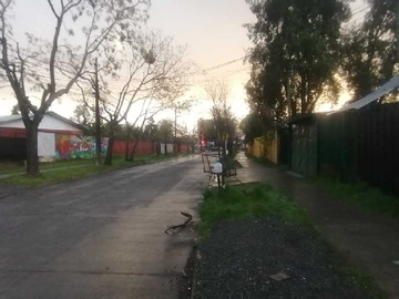 Imagen 9