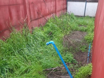 Imagen 7