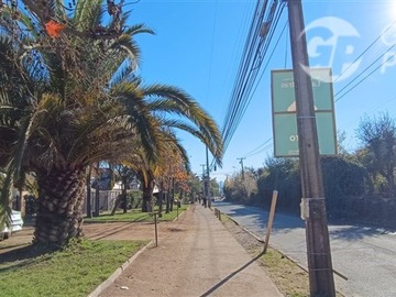 Imagen 7
