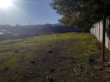 Imagen 5