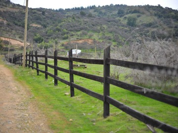 Imagen 9