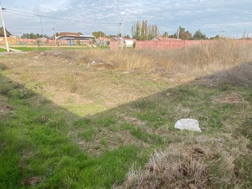 Imagen 5