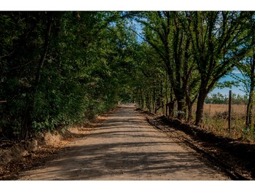 Venta / Terreno / Talca