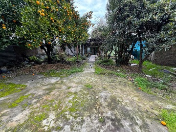 Imagen 8