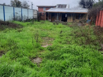 Imagen 13