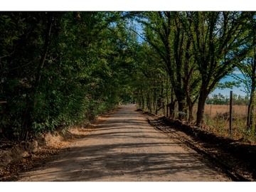 Venta / Terreno / Talca