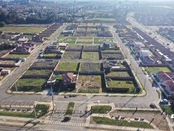 Imagen 7