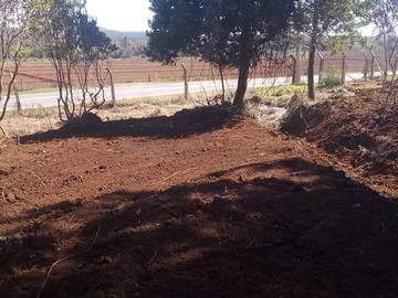 Imagen 5