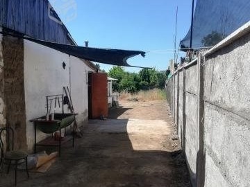 Imagen 7