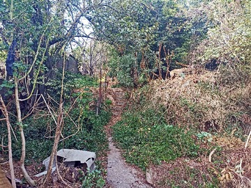 Venta / Terreno / Talcahuano