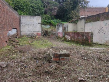 Imagen 5